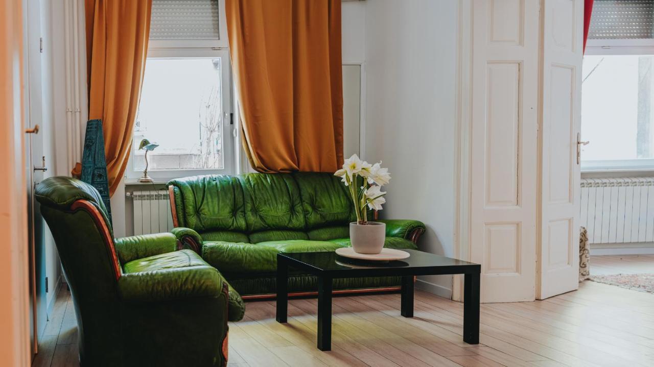 Salon Apartment In Dorcol Historical 贝尔格莱德 外观 照片