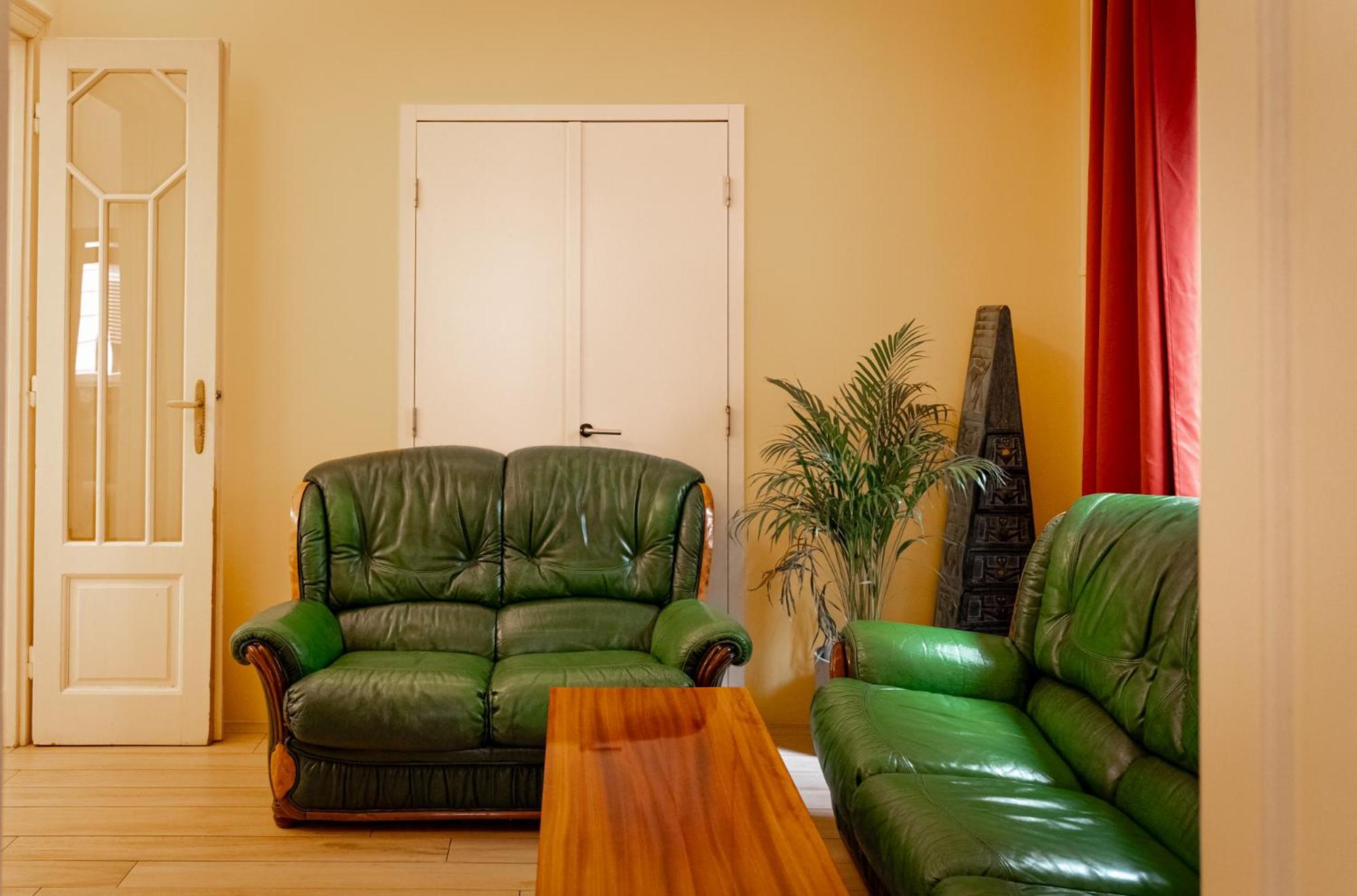 Salon Apartment In Dorcol Historical 贝尔格莱德 外观 照片